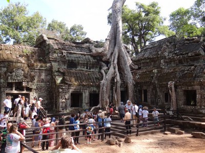 Siem Reap - templo Ta Prohm