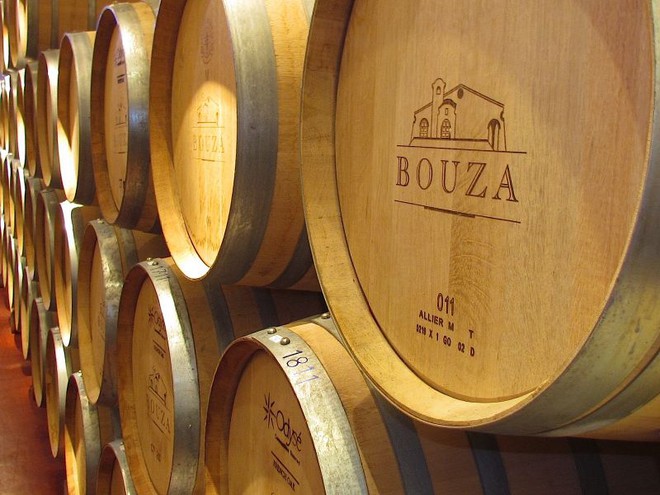 Montevidéu - uma visita a Bodega Bouza