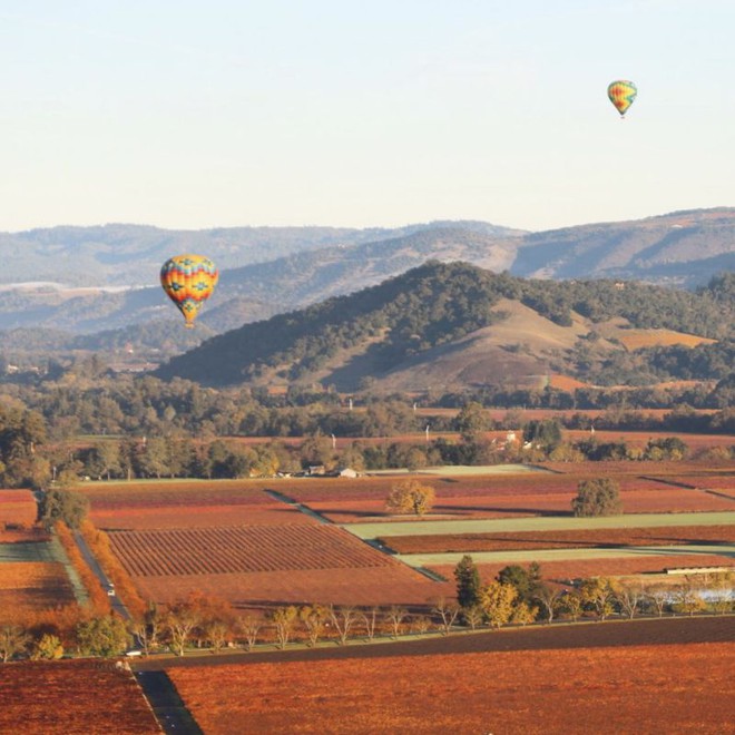 Um passeio de balão pelas vinícolas de Napa Valley, Califórnia