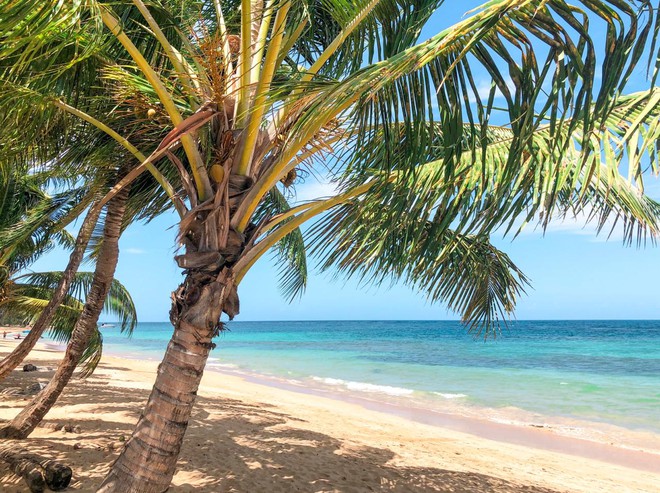 Playa Las Terrenas