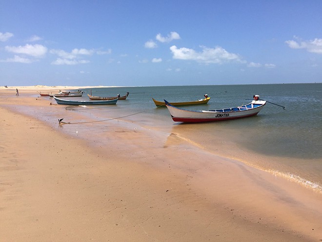 Passeio da Foz do São Francisco