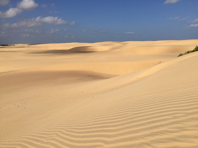 Dunas de Piaçabuçu