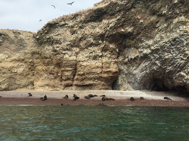 Passeio pelas Islas Ballestas.