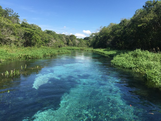 Rio Sucuri.