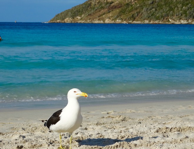 Prainha.