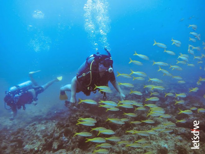 Como fazer um curso de Mergulho em Maceió