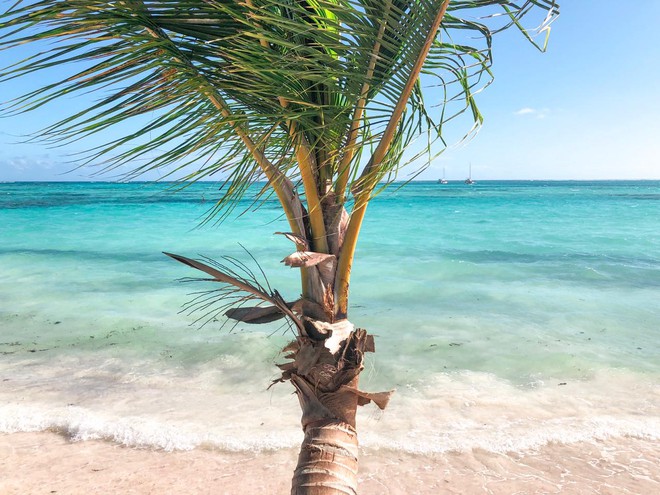 Punta Cana - Cabeza de Toro