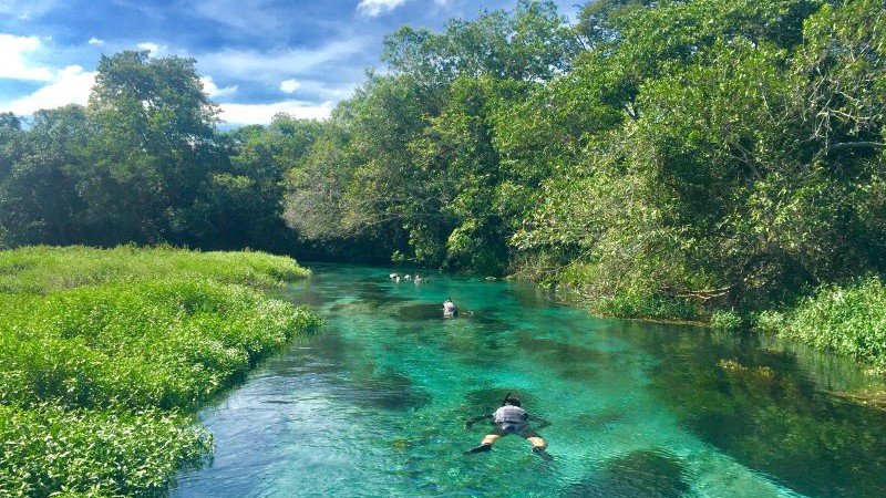 Viagem para Bonito: conheça o melhor lugar para mergulho fluvial