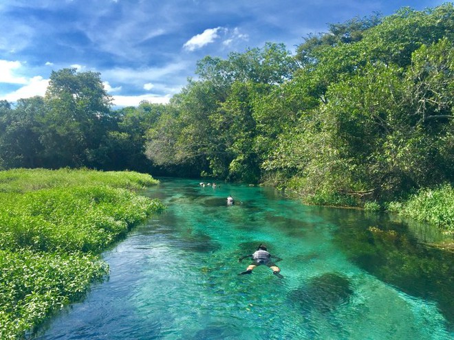 Bonito, Mato Grosso do Sul: Guia Completo