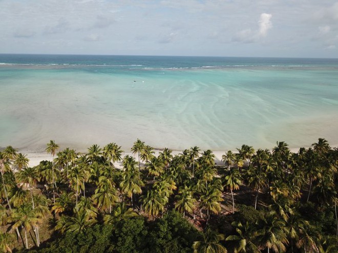 Cinco passeios incríveis para fazer em Alagoas em 2020