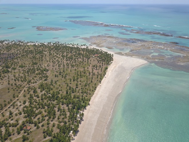 Dicas da Praia de Ipioca: uma das praias mais lindas e paradisíacas de Alagoas