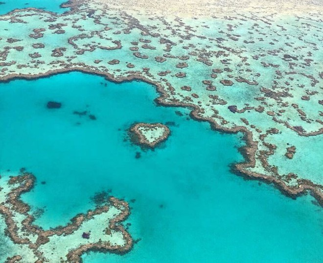 Dicas de Cairns: desvendando a maior barreira de corais do Mundo