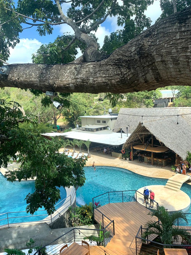 Tree Casa Resort