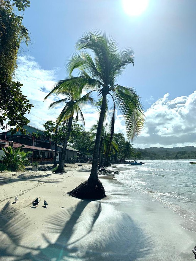 Puerto Viejo - Costa Rica.