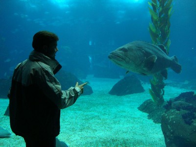 Oceanário de Lisboa