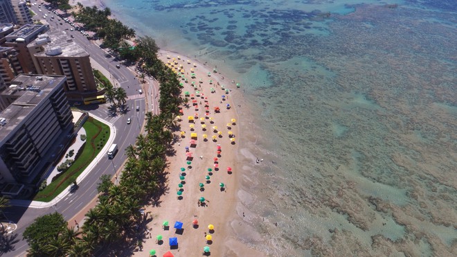 Corais da Praia da Pajuçara