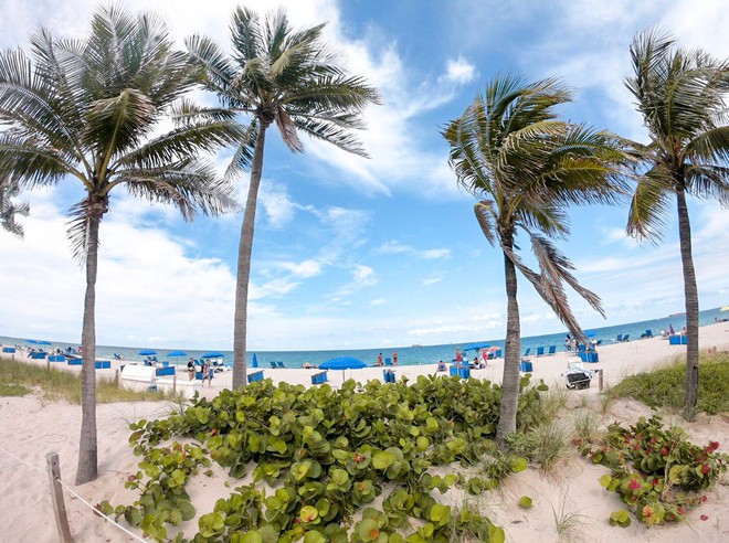 Fort Lauderdale Beach