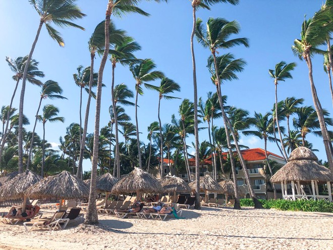 Os muitos sombreiros e cadeiras que o Dreams Palm Beach dispõe à beira mar