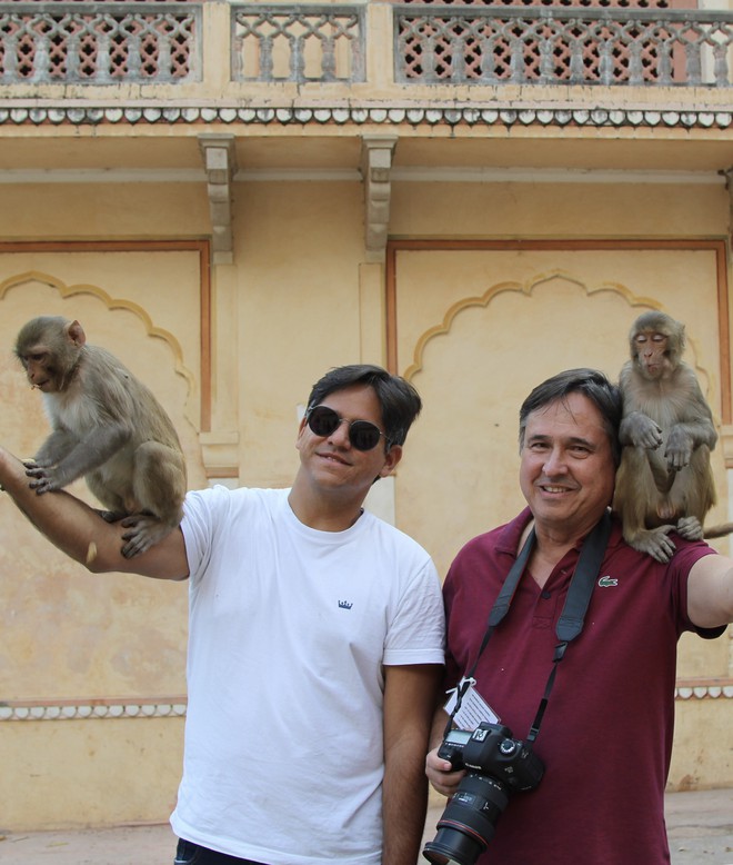 Templo dos Macacos Jaipur
