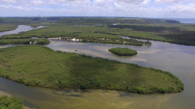 Algumas das ilhas da lagoa.