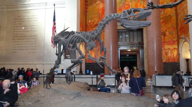 Nova Iorque - Museu Americano de História Natural