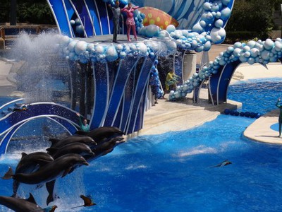 Sea World - Um dos melhores parques de Orlando.