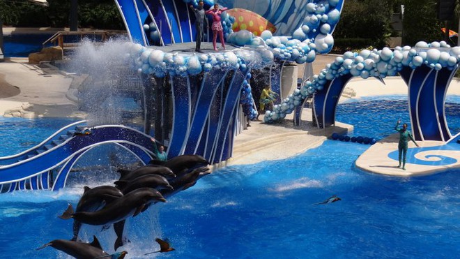 Sea World - Um dos melhores parques de Orlando.