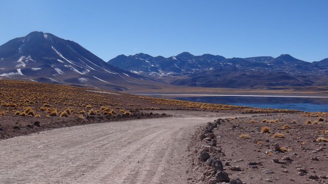 Atacama/ Chile - Lagunas Altiplânicas.
