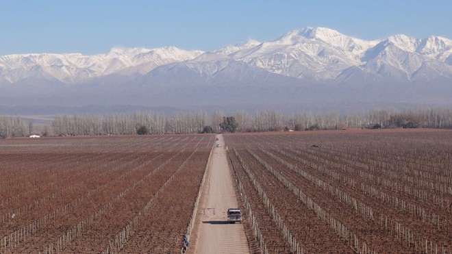 Mendoza / Argentina - O paraíso dos vinhos e da boa gastronomia