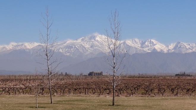 Mendoza: Vinícolas do Vale do Lujan de Cuyo