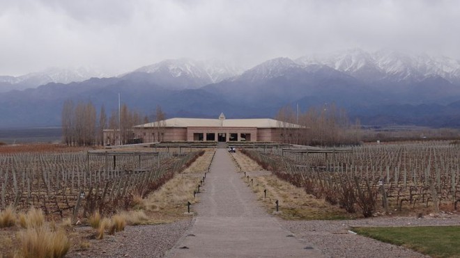 Conheçam três das principais vinícolas de Mendoza
