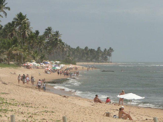 Bahia - um passeio pela Praia do Forte e pelo Projeto Tamar