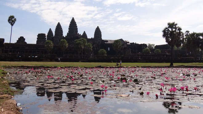 Siem reap: exótica, cultural e surpreendente