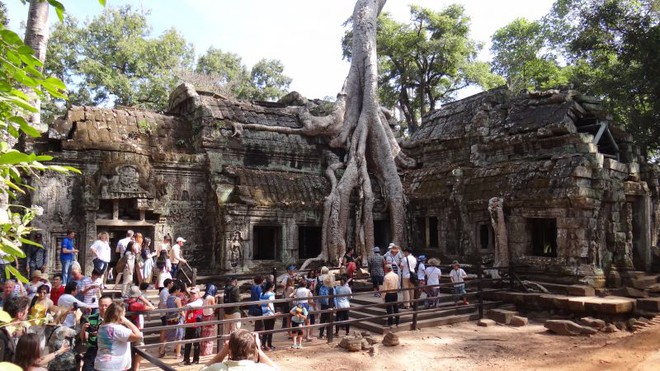 Siem Reap - templo Ta Prohm