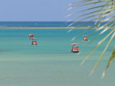 Alagoas: Dicas de São Miguel dos Milagres