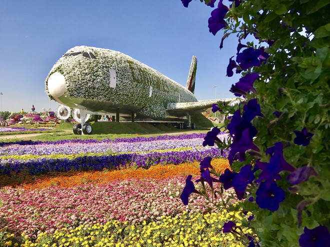 Dubai Miracle Garden: um jardim no meio do Deserto