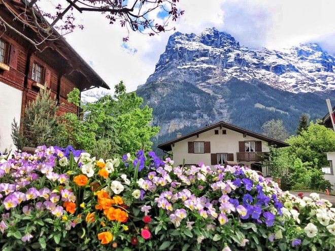 Dicas de Interlaken: nossa base para os passeios nos Alpes Suíços