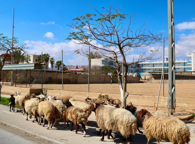 Foto: pelas ruas de Jericó.