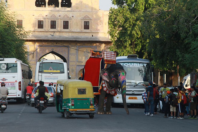 Pelas ruas de Jaipur.