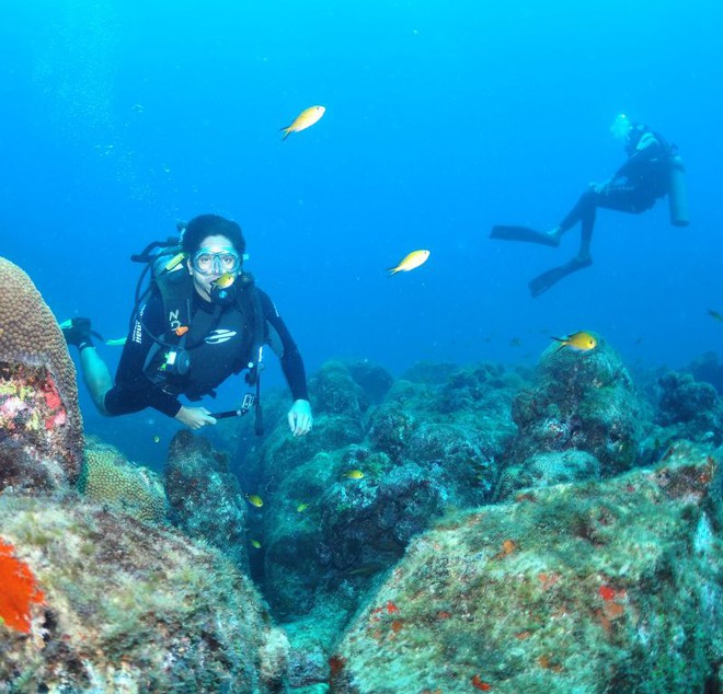 Mergulho em Fernando de Noronha