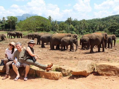 Tudo que você precisa saber antes de conhecer o Sri Lanka