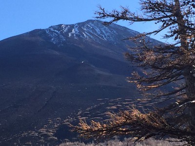 Bate e volta para o Monte Fuji