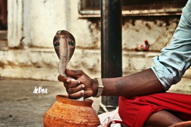 Nossa experiência em Varanasi