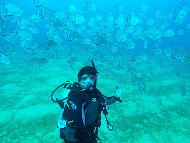 Alagoas: Mergulho no naufrágio Sequipe