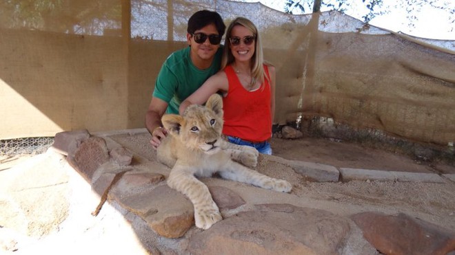 Lion Park - um passeio imperdível em Joanesburgo.