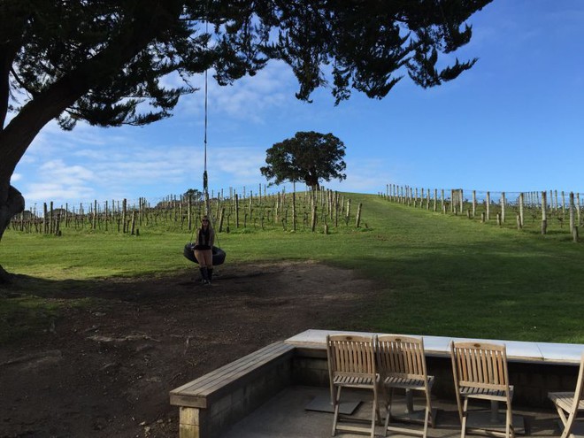 Auckland - Tour dos vinhos pela ilha de Waiheke