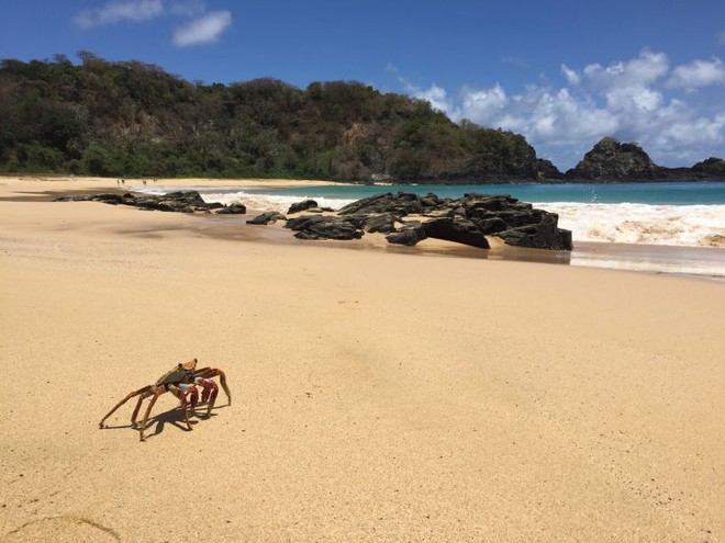 Taxas e ingressos para curtir Fernando de Noronha