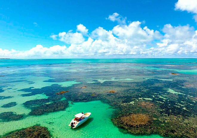 Dicas da Praia de Paripueira e do Sonho Verde, Alagoas