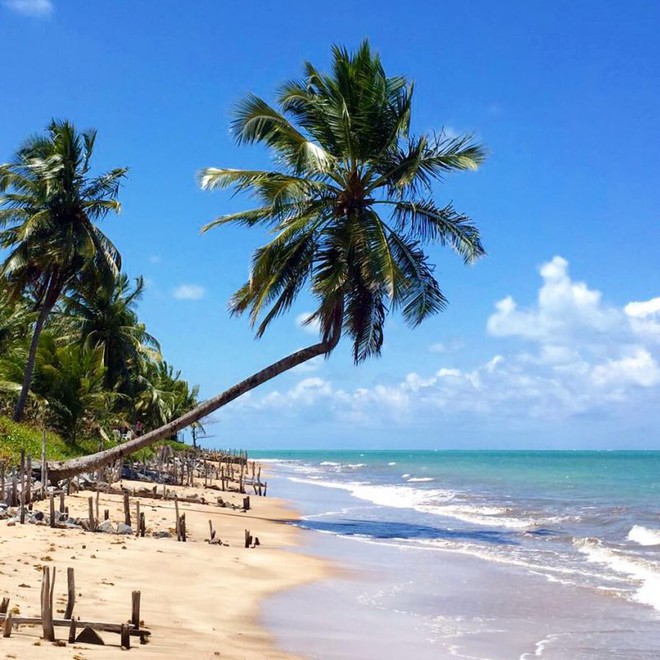 Um paraíso à beira mar de Japaratinga